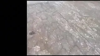 چربی زدایی