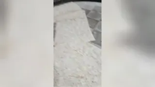 شاطر برقی