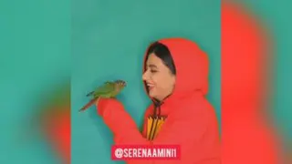 سرنا امینی