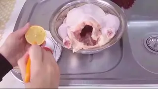 مرغ شکم پر