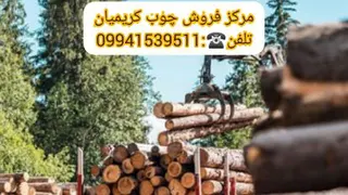فروش عمده چوب