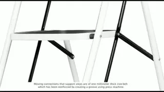Ladder