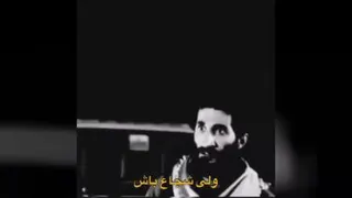 شجاع باش