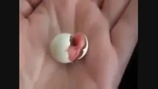 خدایا شکرت