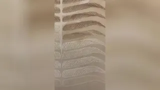 بولدبروز