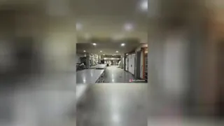 نان و شیرینی مانی