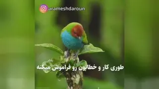 دعای جوشن کبیر