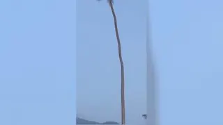 شجاعت یا جهالت؟؟؟؟؟؟؟