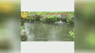 خنده وسرگرمی
