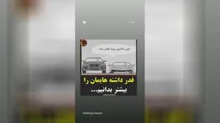 شکرگزاری