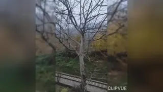 گلوله ی اشتیاق