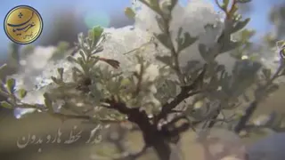 جذب انرژی