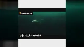 انگیزشی