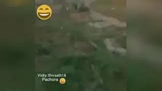 دیدنیها