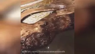رزین