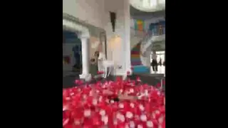 دومینو لیوان