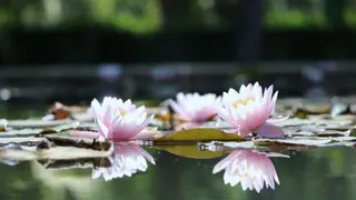 آهنگ محرم