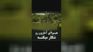 شکارهیولای آمازون