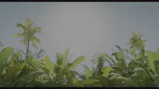 هتل ترانسیلوانیا 4