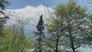 #ریکاوری#طبیعت