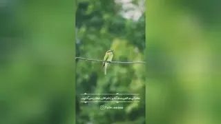 «حالِ‌جهان»