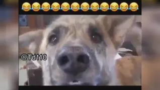 احمد اقا هستن؟