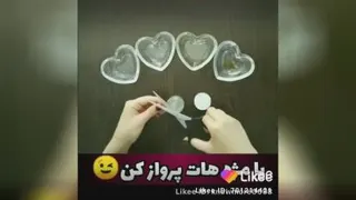 زیبایی