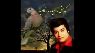 کفتریاکریم اهنگ