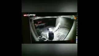 هالوژن دزدی