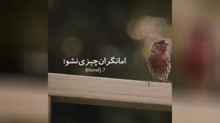 نگران آینده نباشیم