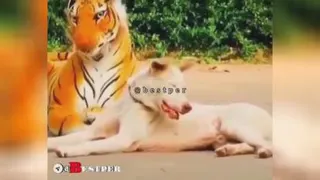 طنز و جالب جهت تلطیف فضا