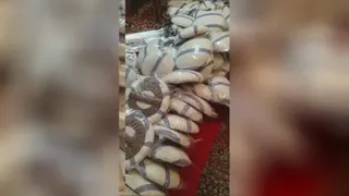 بالشتک نان یا همون ناوند نان