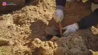 تفحص 4 شهید