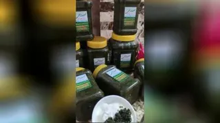 معرفی محصولات خانگی ومحلی (سبزی دلار شمال)