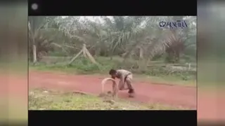 سربازی که مارکبراگرفت