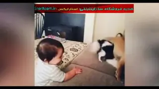 مهرسگ به نوزادانسان