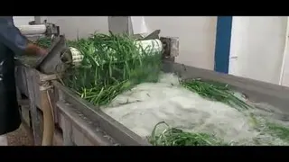 دستگاه شستشوی سبزی