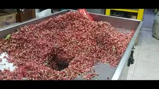 دستگاه آبگیر انار,انگور,ابغوره