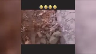 کلیپ طنز
