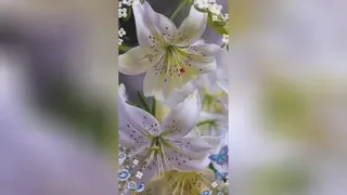 انرژی