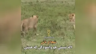 انگیزشی