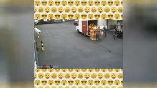 کار دوپولی به این میگن 😅