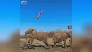 بسکتبال