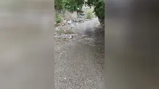 گشتی در طبعیت