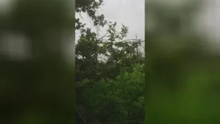 هواهمانجوری که تو دوست داشتی..