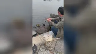 محبت