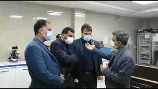 فعالیت ها