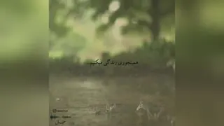 حرفِ دِل