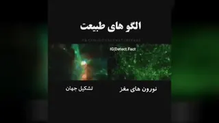 ویدیو جالب