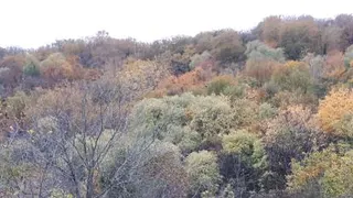 مسیر الهی